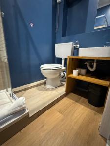 的里雅斯特Il Tasso Rooms & Apartments的一间带卫生间和蓝色墙壁的浴室