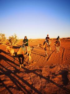El GoueraChegaga Luxury Camp的一群人在沙漠骑骆驼