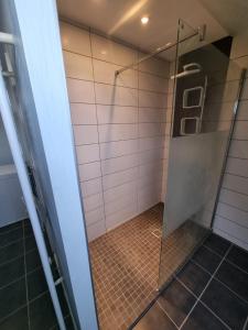 梅特泽拉Le gîte de Cléo, maison spacieuse et paisible.的浴室里设有玻璃门淋浴