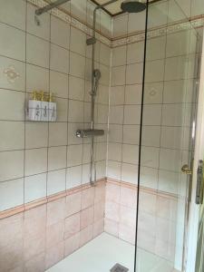 蒂米什瓦拉IRIS Le Dome Apartment的浴室设有粉红色瓷砖和淋浴。