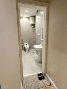 利雅德106 A شقة جميلة بغرفتين نوم ودخول ذاتي的带淋浴、卫生间和盥洗盆的浴室