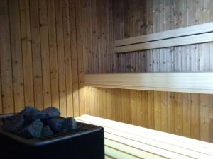 拉斯托瓦卡Antemurale - Luxury rooms,Plitvice Lakes的一间桑拿浴室,里面装有黑盒岩石