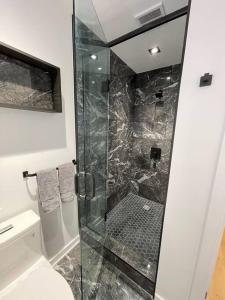 渥太华Modern Home for 10+ with Hot Tub!的浴室设有玻璃淋浴间和卫生间