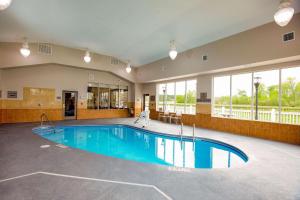 威尔森威尔逊江山旅馆的大型客房带窗户,设有大型游泳池