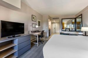 梅萨梅萨卡尔森乡村酒店的一间卧室配有一张大床和一张书桌及电视