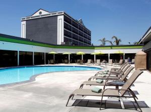 奥克兰奥克兰机场丽筠酒店的游泳池旁的一排躺椅