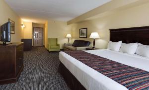 尼亚加拉瀑布尼亚加拉大瀑布乡村套房酒店的酒店客房设有一张大床和一台电视。