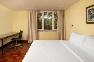 内罗毕Fairview Hotel Nairobi的一间卧室配有一张床、一张书桌和一个窗户。