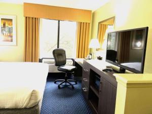 奥尔巴尼奥尔巴尼丽柏酒店的酒店客房配有书桌、电视和椅子