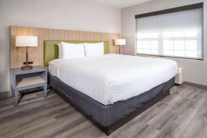 石头山卡尔森石山江山旅馆及套房酒店的一间卧室设有一张大床和一个窗户。
