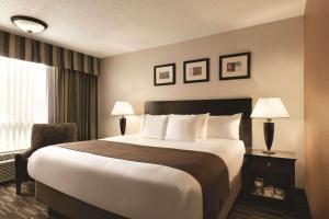 杰斐逊维尔Radisson Hotel Louisville North的一间设有大床和窗户的酒店客房