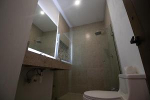 坎佩切Viveza - Downtown的浴室配有卫生间、盥洗盆和淋浴。