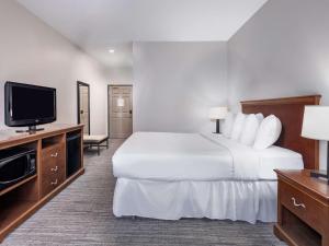 莫米莫米托莱多乡村套房酒店的配有一张床和一台平面电视的酒店客房