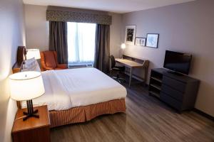 梅卡尼克斯堡宾夕法尼亚西哈里斯堡卡尔森江山旅馆及套房的酒店客房配有一张床、一张书桌和一台电视。