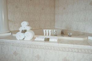 默特尔比奇默特尔比奇江山旅馆的带浴缸和毛巾的浴室