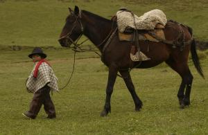 OvejeríaHacienda Yanahurco的走在马旁的男孩