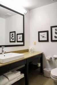 斯特灵卡尔森华盛顿杜勒斯机场江山旅馆&套房的一间带水槽、镜子和卫生间的浴室