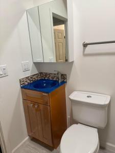 奥克兰Bumblebee House的浴室设有卫生间和带镜子的盥洗盆