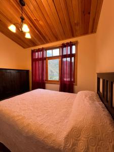 圣胡安拉拉古纳Casa Atitlan I的一间卧室设有一张大床和一个窗户。