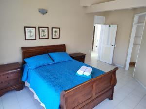 圣安德烈斯卡佩寓所旅馆的一间卧室配有蓝色的床和两条白色毛巾