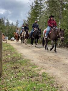 Shawnigan LakeMaple Heart Ranch的一群骑马的人在土路下骑着