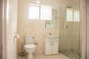 马翁Laha Apartment 3的浴室配有卫生间、盥洗盆和淋浴。