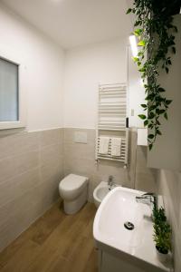 基亚拉瓦莱NonSoloValle的白色的浴室设有卫生间和水槽。