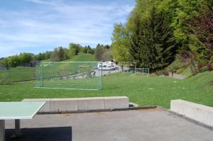 Seewis im PrättigauFerienwohnungen JHS的公园内带网的足球场