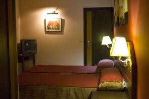 阿尔沃斯帕里利亚酒店的酒店客房设有两张床和电视。