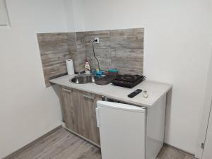 尼什Apartmani Hub的一个带水槽和柜台的小厨房