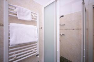 罗马Casa San Giuseppe的一间带毛巾架和淋浴的浴室