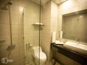 伊斯兰堡Roomy Signature Hotel, Islamabad的一间带卫生间、水槽和镜子的浴室