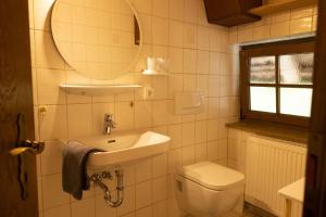 OberkirnachFerienhof-Gerda-Ferienwohnung-Schwalbennest的一间带水槽、卫生间和镜子的浴室