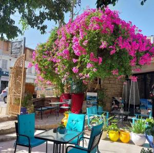 扎金索斯镇AMINA APARTMENTS的庭院配有桌椅和粉红色的鲜花
