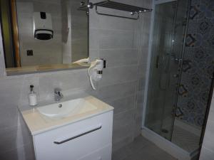 科尔特Apparts' hôtel Casa di a Restonica的一间带水槽和淋浴的浴室