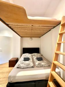 弗莱堡Moderne Apartments in attraktivem Altbau的一间卧室配有一张双层床和梯子