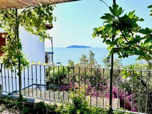 梅加利阿莫斯Villa Athena Skiathos的海景阳台。