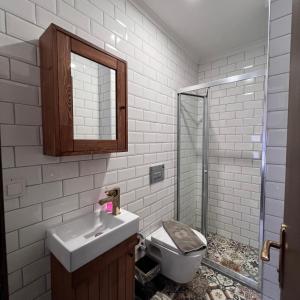 安塔利亚Villa Citronella Boutique Hotel的一间带卫生间、水槽和镜子的浴室