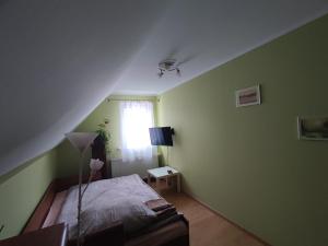 佩霍维采Zielony Zakątek的一间卧室设有绿色的墙壁、一张床和窗户