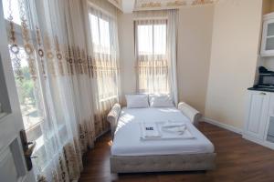 伊斯坦布尔IQ Hotel Galatasaray的一间卧室设有一张床和一个大窗户