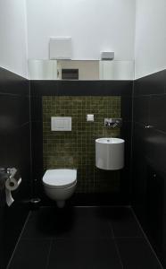 弗莱堡Moderne Apartments in attraktivem Altbau的一间带卫生间和水槽的浴室