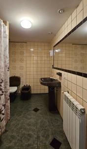 乌斯怀亚Anum Hostel的一间带水槽和卫生间的浴室