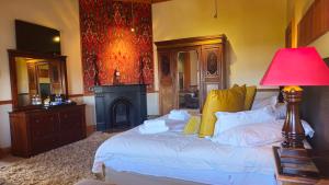 开普敦Wilton Manor NO LOADSHEDDING的一间卧室配有一张带灯和壁炉的床