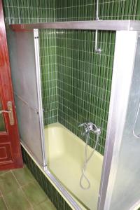 希洪Chalet céntrico/costero en Gijón的绿色瓷砖浴室内带软管的淋浴