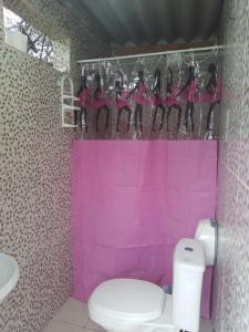 博西坎加Farah Camping Smartcamp hospedagem econômica的粉红色的浴室设有卫生间和水槽