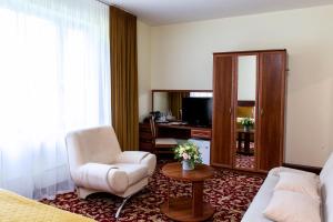 德鲁斯基宁凯Hotel Violeta的酒店客房设有沙发、椅子和书桌