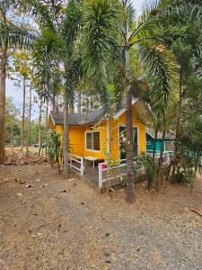 Ban Lam Thong LangBaan Rai Somkiat Homestay Saraburi的棕榈树前方的黄色房子