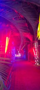 PuchakadBekal Fort Resorts BFR的充满红色和紫色灯光的房间