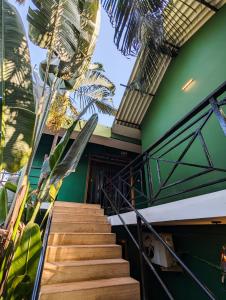 曼德姆Seaside Serenity Resort的一座拥有绿色墙壁和棕榈树的建筑中的楼梯