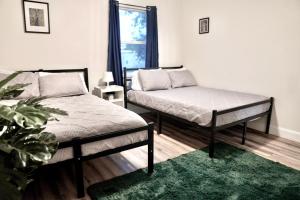 坦帕Jay's Cozy Escape的一间带两张床的卧室和绿色地毯